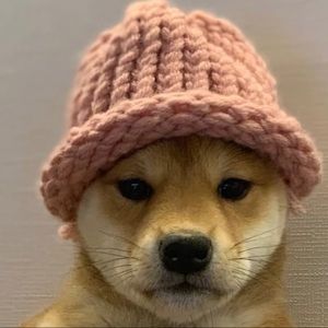 Meet your Posher, Levi